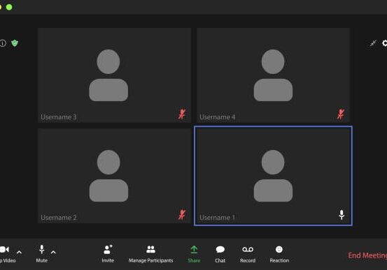 zoom black boxes